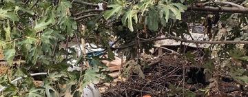 В Одесі через негоду загинула родина переселенців — «Суспільне»