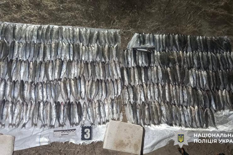 На Одещині викрили браконьєра з уловом у понад 300 кефалей у Національному парку «Тузлівські лимани»