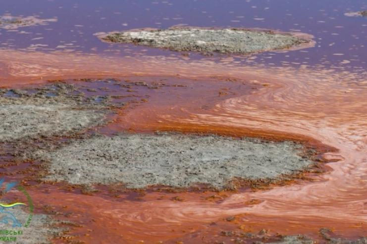 Після спекотного літа Тузлівські лимани засяяли рожевими та червоними барвами