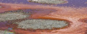 Після спекотного літа Тузлівські лимани засяяли рожевими та червоними барвами