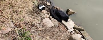 Жительку Ізмаїла засудили до восьми років позбавлення волі за вбивство знайомого