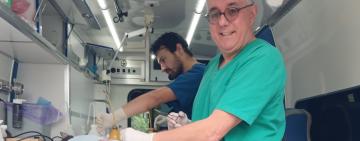 В Арцизі стерилізували котів та анонсована безкоштовна одноденна стерилізація собак