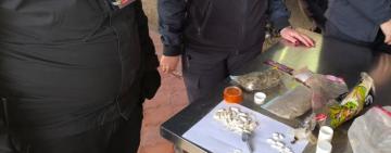 Ніс, що не помиляється: на Ізмаїльщині собака Альма допомогла зупинити наркоконтрабанду 