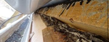 Одеські поліцейські повідомили екскерівникові центру екстреної медичної допомоги і медицини катастроф про підозру у службовій недбалості 