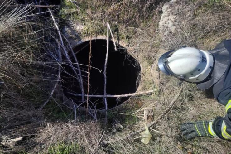 У Рені рятувальники врятували цуценя, яке впало у колодязь 