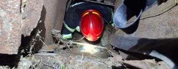 Ще одного домашнього улюбленця врятовано,- ДСНС