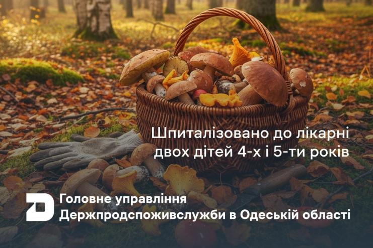 Отруєння грибами в Одеській області почастішали: служби б'ють на сполох