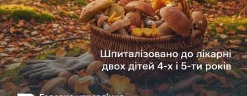 Отруєння грибами в Одеській області почастішали: служби б'ють на сполох