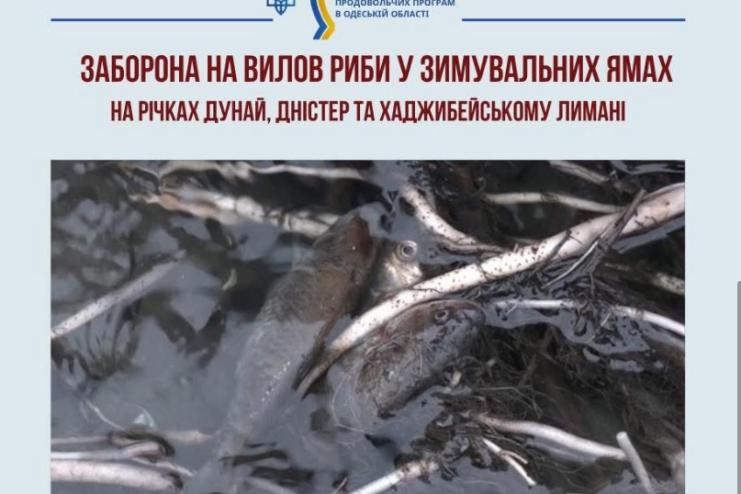 На Одещині з 1 листопада вводиться осінньо-зимова заборона на вилов риби у зимувальних ямах