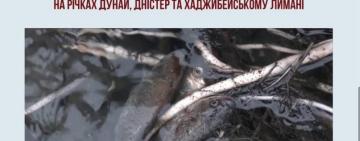 На Одещині з 1 листопада вводиться осінньо-зимова заборона на вилов риби у зимувальних ямах