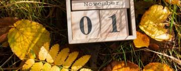 Від Дня Гідності до Дня винороба: чим насичений листопад 2025 року