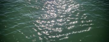 "Вода не пробачає помилок": на Одещині рятувальники витягли чоловіка з відкритого моря