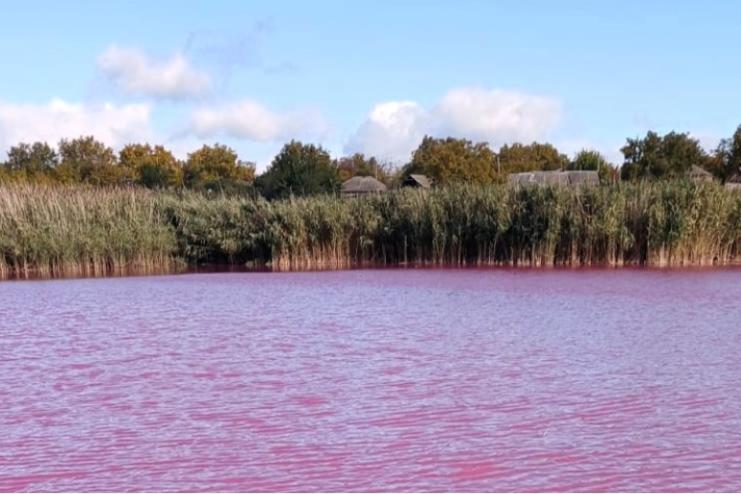 На Одещині виявили причини зміни кольору води у ставку