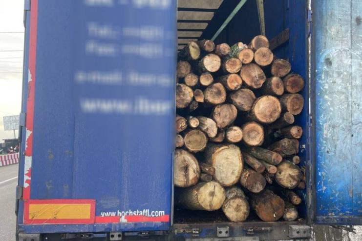 Патрульна поліція Одещини виявила незаконне перевезення деревини