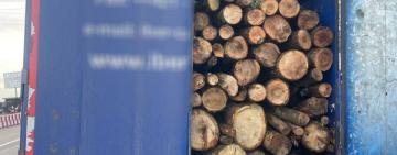 Патрульна поліція Одещини виявила незаконне перевезення деревини