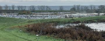 У Болграді виявлено масштабне забруднення земель каналізаційними стоками
