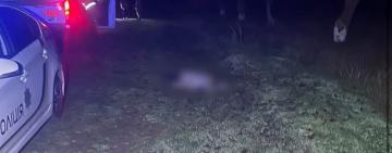 В Одеському районі поліцейські затримали водія, який у стані сп’яніння на смерть збив пішохідку