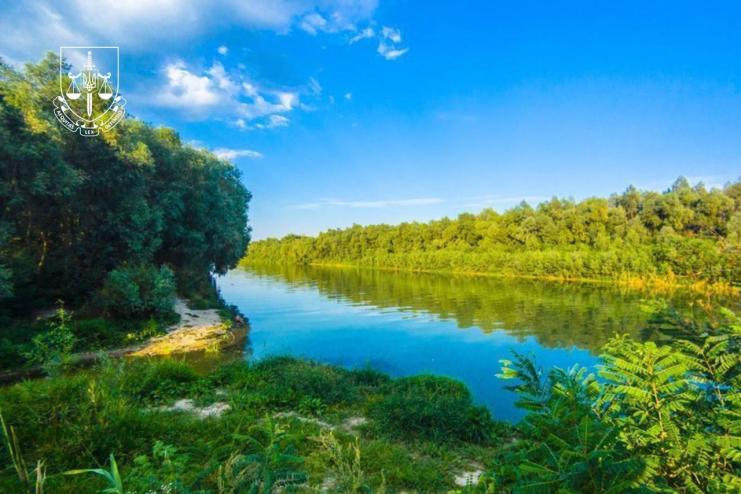  Прокуратура відстояла 11 гектарів на Ізмаїльщині для майбутнього заповідника: Верховний Суд поставив крапку у справі незаконної забудови