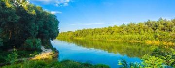  Прокуратура відстояла 11 гектарів на Ізмаїльщині для майбутнього заповідника: Верховний Суд поставив крапку у справі незаконної забудови