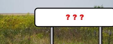 Три громади Одещини отримали нові офіційні назви: уряд нарешті узаконив зміни