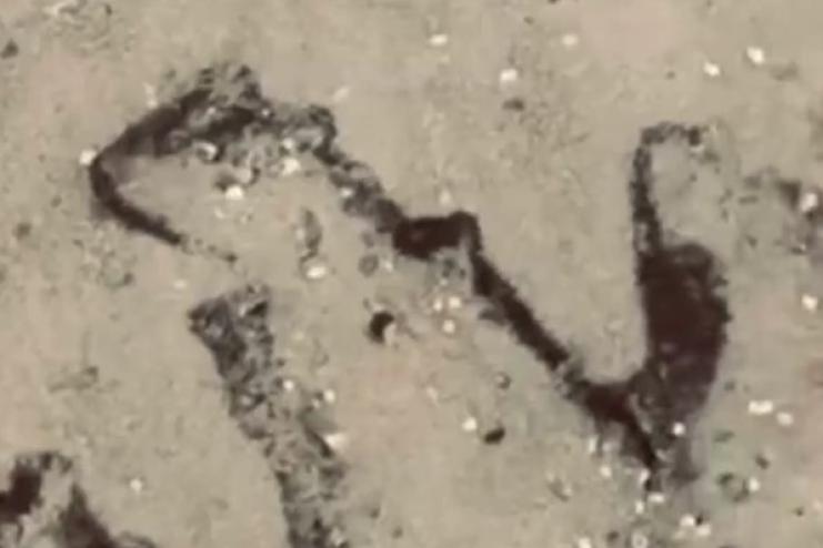 У Затоці знову зафіксували забруднення узбережжя мазутом: пляж вкрила темна смуга завдовжки в кілометр