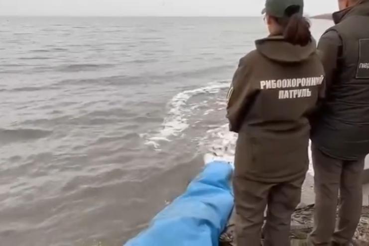 У Дністровський лиман випустили понад 28 тонн молоді риб