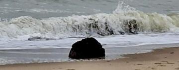 На Одещині шторм виніс на берег морську міну