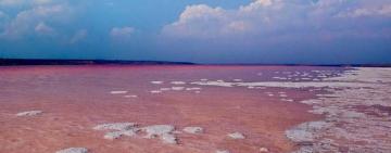 На Одещині запускають соляний завод, де більшість працівників становитимуть жінки