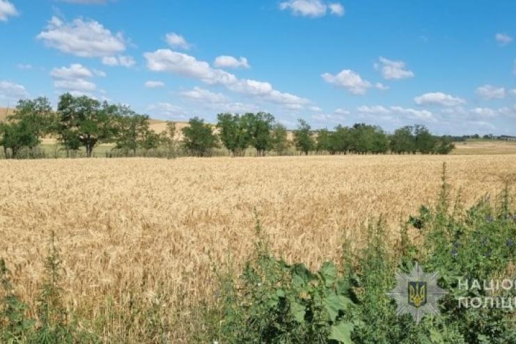 У Бессарабській громаді викрили самовільне захоплення земель у водоохоронній зоні