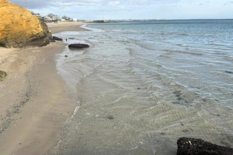 Соняшникова олія на пляжах Одеси: результати кризового моніторингу