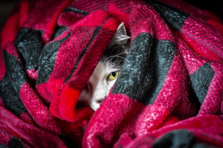 На Одещині прогнозують різке похолодання