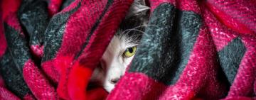 На Одещині прогнозують різке похолодання