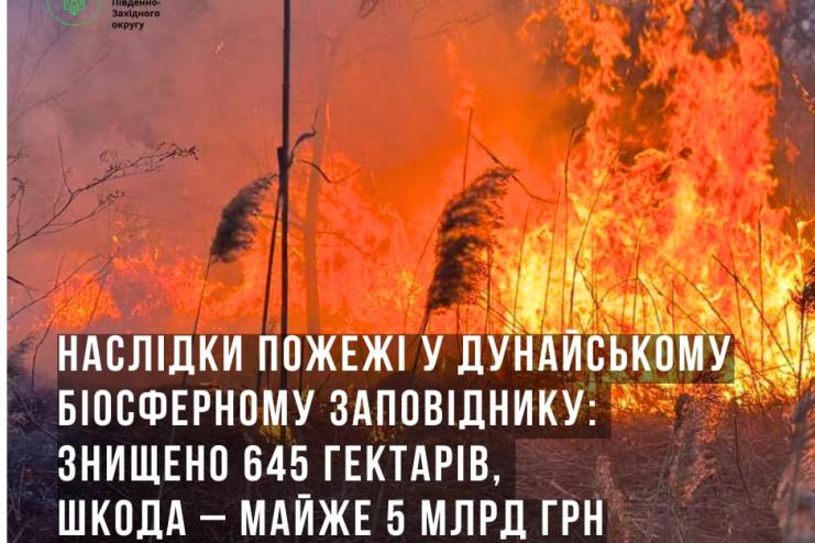 Майже 5 млрд грн збитків: пожежа знищила 645 гектарів Дунайського біосферного заповідника