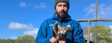 На Одещині у Тарутинському степу випустили сокола балабана — хижака, що відновлює природну рівновагу