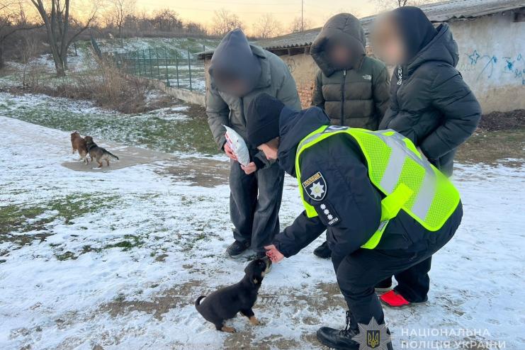 В Ізмаїлі поліцейські разом зі школярами нагодували безпритульних тварин