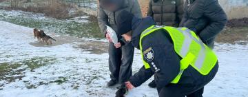 В Ізмаїлі поліцейські разом зі школярами нагодували безпритульних тварин