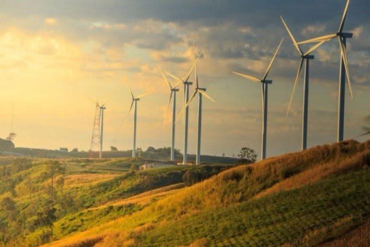 В Одеській області планують будівництво вітропарку потужністю 124 МВт