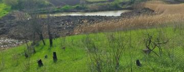 Житель Болградського району отримав умовний термін за незаконно викопане озеро на землях водного фонду