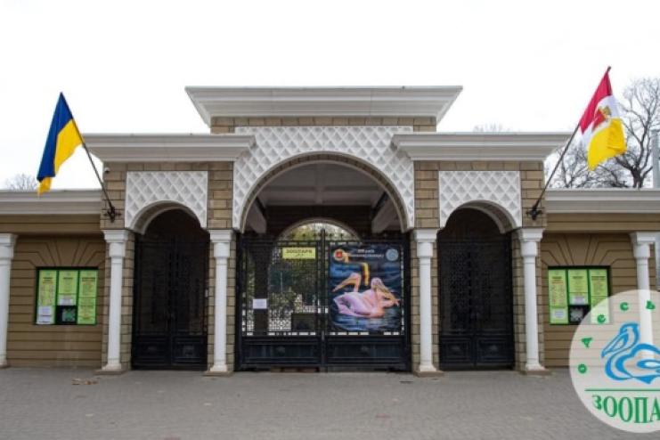 Суд наклав арешт на майно Одеського зоопарку у справі про можливе розкрадання коштів