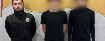 Одеські поліцейські встановили підлітків, причетних до інциденту з котом