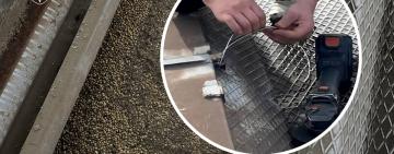 Одеська обласна прокуратура: директор підприємства відшкодував державі 19 млн грн через «чорний» експорт сої