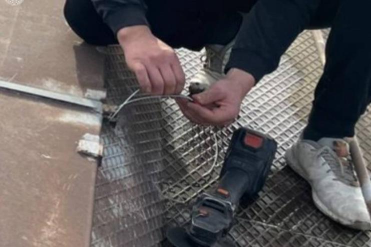 «Чорний» експорт сої на 19 млн грн – директор підприємства відшкодував збитки державі