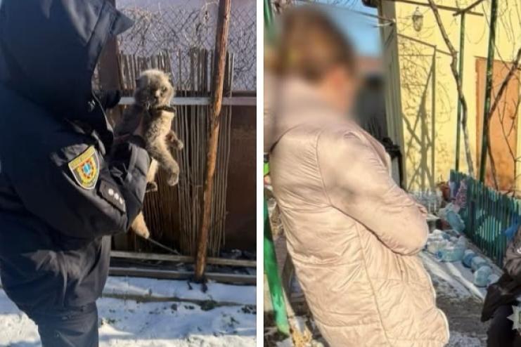 В Одесі відкрили кримінальне провадження через жорстоке поводження з котами