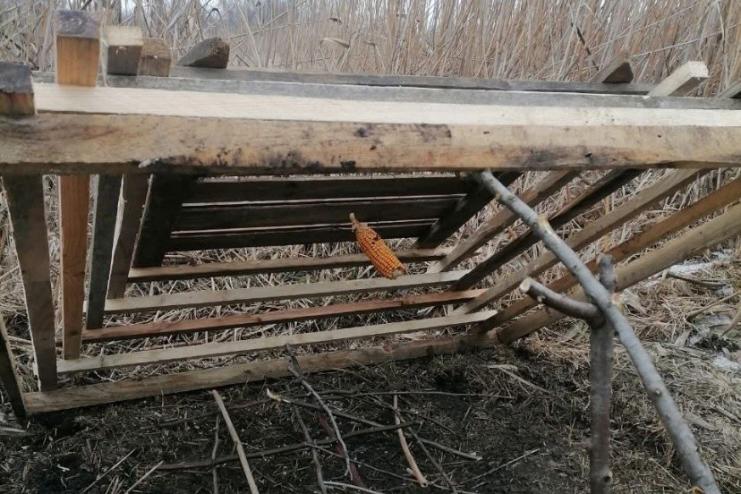 У Нижньодністровському НПП викрили браконьєра з саморобними пастками