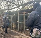 У Ізмаїлі відкрито кримінальне провадження за фактом неналежного утримання тварин