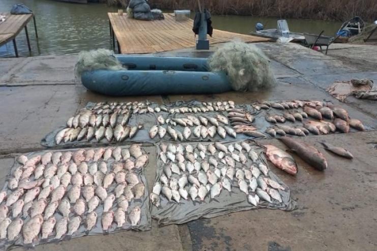 Браконьєрство на озері Кагул: державі завдано збитків майже на 600 тисяч гривень