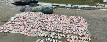 На озерах Кугурлуй та Ялпуг викрили браконьєрів: збитки — понад 2 мільйони гривень