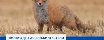 В Одеській області зросла кількість випадків сказу: що варто знати мешканцям