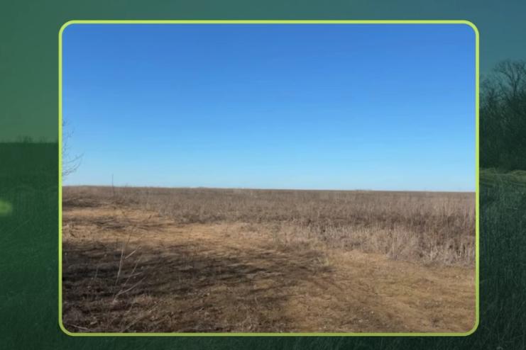 Одеська область відновлює доступ до державних земель: понад 5 тисяч гектарів виставлено на аукціон