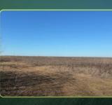 Одеська область відновлює доступ до державних земель: понад 5 тисяч гектарів виставлено на аукціон